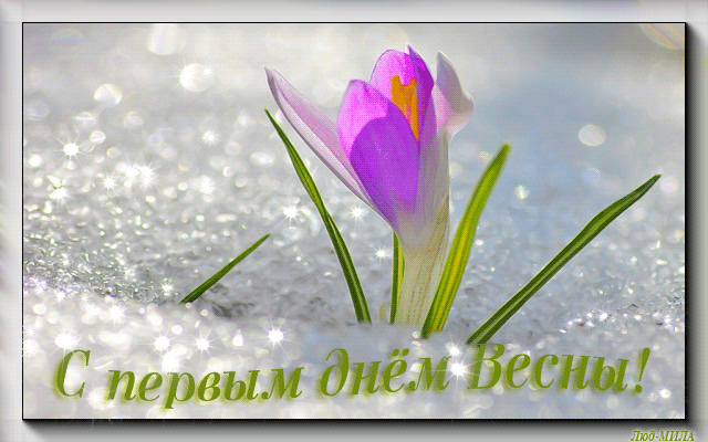 Открытка Открытки с первым днем весны - Открытка с первыми весенними цветами на снегу | Красивая открытка #94