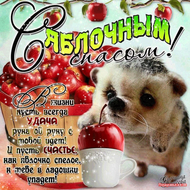 Открытка Открытки с Яблочным Спасом - Открытка: "С Днем Рождения! Пусть все всегда..." | Красивая открытка #6