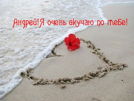 Открытка открытки с именем Андрей - Сердце из песка и красный цветок на пляже | Красивая открытка #76