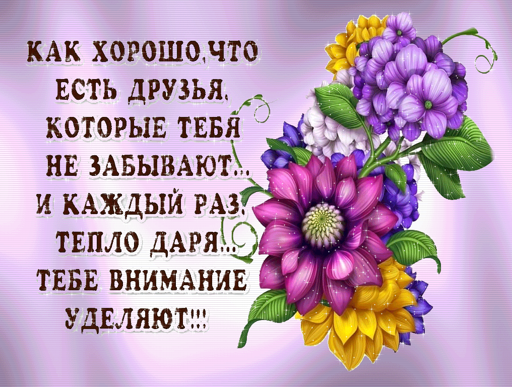 Открытка Открытки о дружбе - Открытка с фиалками и листьями | Красивая открытка #5