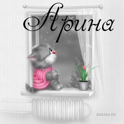 Открытка открытки с именем Арина  - Котенок у окна с цветами: открытка с милым сюрпризом | Красивая открытка #14