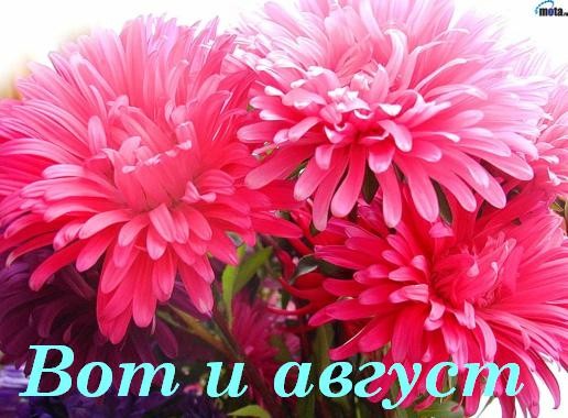 Открытка С астрами - Букет розовых цветов: открытка с нежностью | Красивая открытка #57