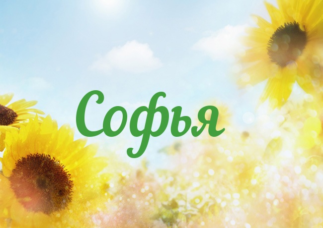 Открытка открытки с именем Софья - Открытка с подсолнухами на фоне голубого неба | Красивая открытка #26