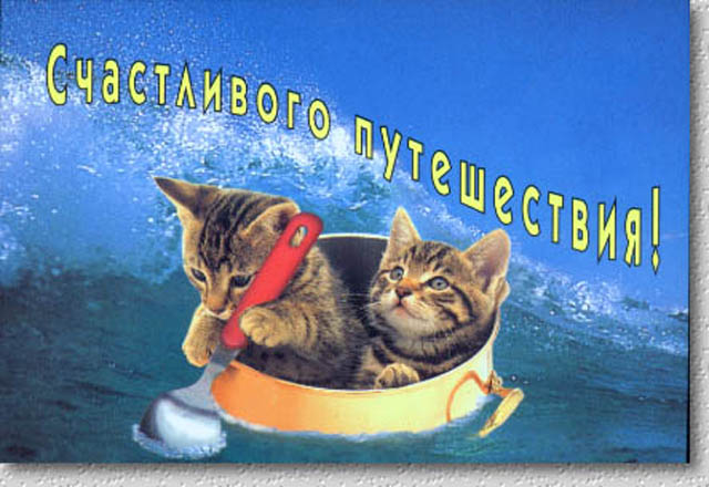 Открытка открытки с пожеланиями хорошей дороги - Две кошки на лодке: забавная открытка | Красивая открытка #15