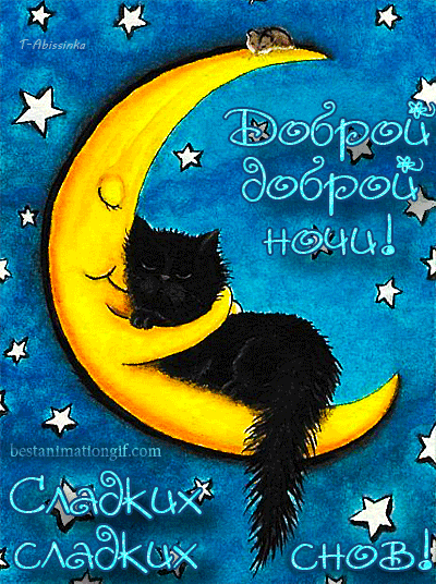 Открытка Открытки с пожеланиями на ночь - Открытка с котенком на луне  Сладких снов | Красивая открытка #149