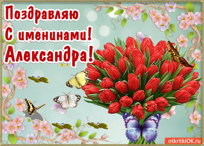 Открытка Открытки с именем Александра - Открытка с красными тюльпанами и бабочками | Красивая открытка #154