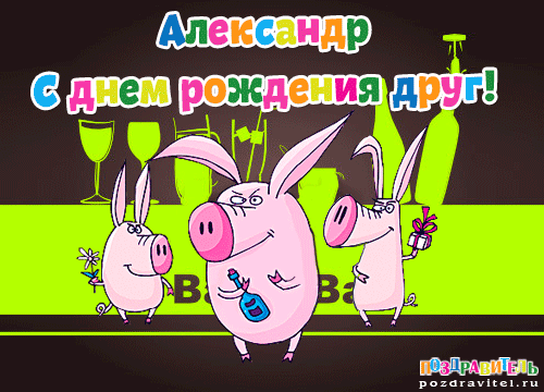 Открытка открытки с именем Александр - Открытка с поросятами на праздник  Поздравител | Красивая открытка #89