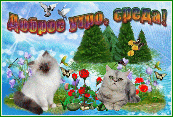Открытка Со средой - Открытка с котиками и цветами | Красивая открытка #25