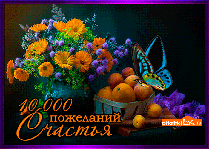 Открытка Открытки с бабочками - Открытка с фруктами и цветами: апельсины, подсолнухи | Красивая открытка #71