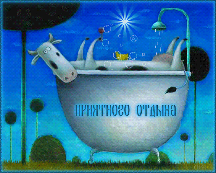 Открытка Открытки хорошего отдыха - Корова в ванне: смешная открытка для отдыха | Красивая открытка #142