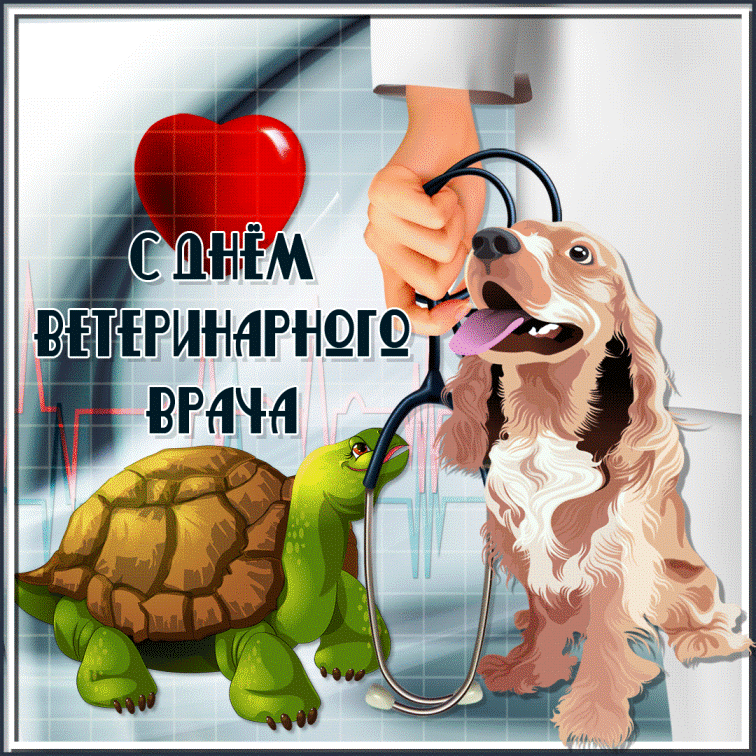 Открытка Открытки с днем ветеринара - Открытка С Днём Ветеринара: Собака и черепаха | Красивая открытка #8