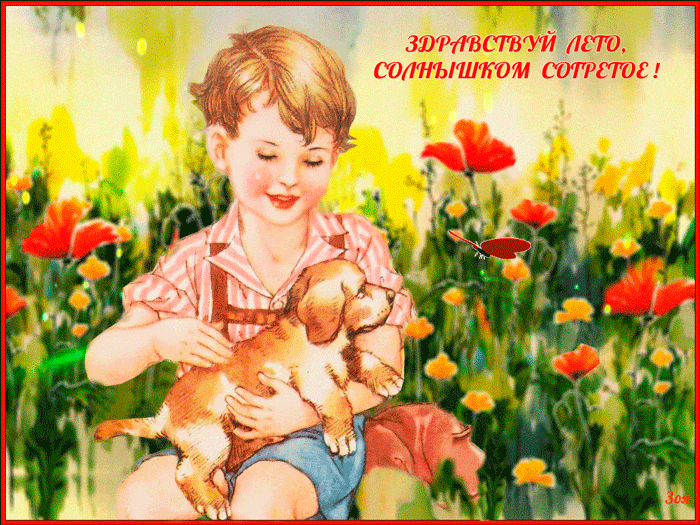 Открытка Первый день лета - Мальчик с щенком на лугу - открытка | Красивая открытка #124