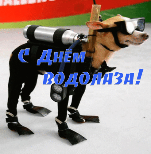 Открытка Открытки с днем водолаза - Собака-аквалангист: Открытка с псом в костюме водолаза | Красивая открытка #3