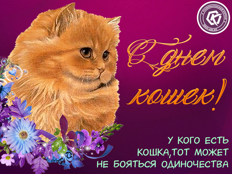 Открытка С Всемирным днём кошек - Открытка с котенком на День Рождения — Симпатичная поздравительная открытка | Красивая открытка #5