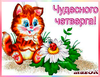 Открытка Четверг - Открытка с рыжим котенком и цветком | Красивая открытка #34
