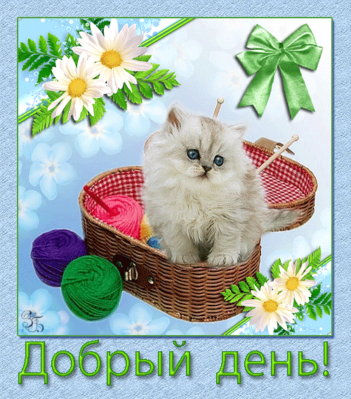 Открытка Открытки хорошего дня - Котенок в корзине с клубками: открытка с добрым утром | Красивая открытка #151