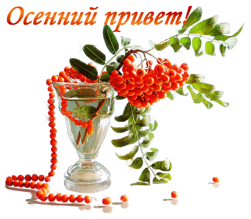 Открытка Осенний приветик - Открытка с рябиной в вазе | Красивая открытка #53