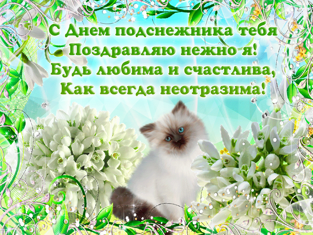 Открытка День подснежника - Открытка с котенком: нежные цветы и поздравления | Красивая открытка #31