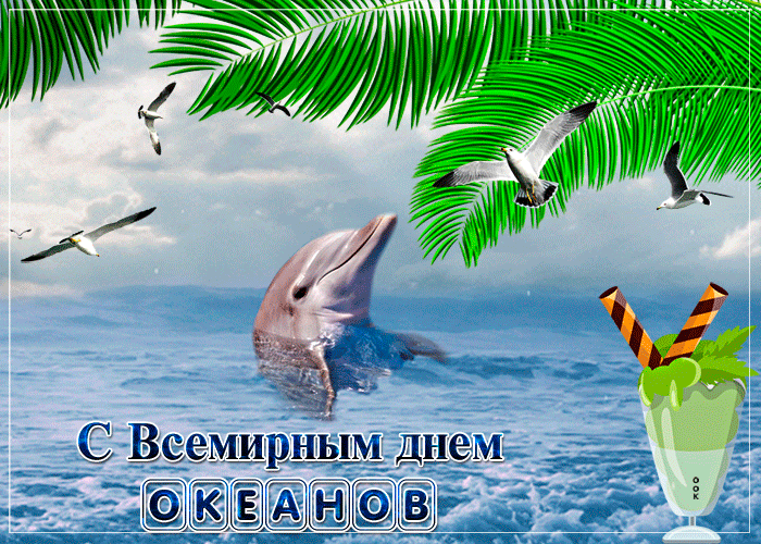 Открытка Всемирный день океанов - Дельфин, океан, пальмы, коктейль: Открытка с днем океана | Красивая открытка #19