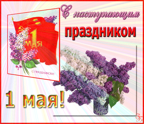 Открытка 1 мая - Открытка с 1 мая: сирень и красный флаг | Красивая открытка #288