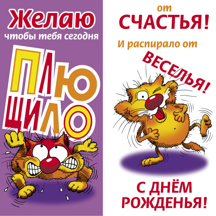 Открытка открытки с приколами на день рождения  - С Днем Рождения! Открытка с веселым котом | Красивая открытка #9