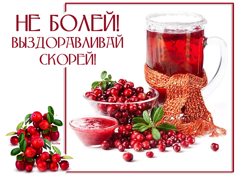 Открытка Выздоравливай - Клюква: открытка с ягодами и напитком | Красивая открытка #110