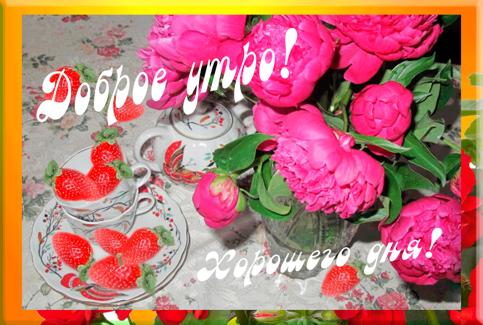 Открытка добрый день - Открытка с клубникой и розами | Красивая открытка #71