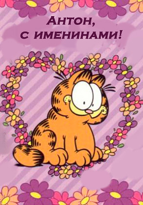 Открытка открытки с именем Антон  - Открытка с котом Гарфилдом и цветами | Красивая открытка #20