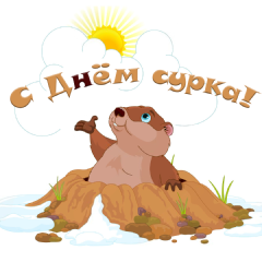 Открытка День сурка - Открытка с сурком: Весёлый грызун в луже | Красивая открытка #22