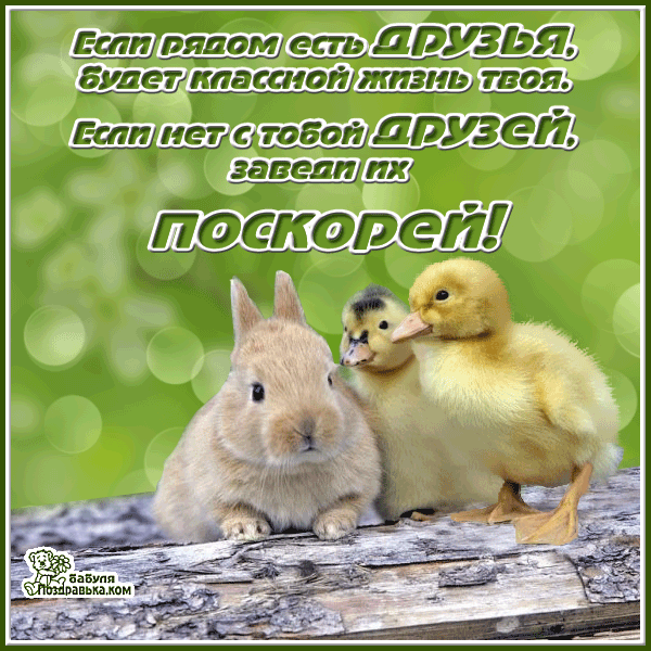 Открытка Открытки о дружбе - Два зайчонка на лужайке — милая открытка | Красивая открытка #90