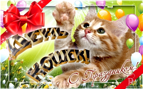Открытка С Всемирным днём кошек - Открытка с котенком: С Днем котика!  Эffekts.ru | Красивая открытка #36