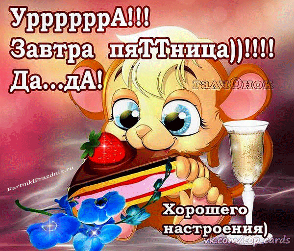 Открытка Четверг - Открытка с котиком, торт, цветы, шампанское. | Красивая открытка #23