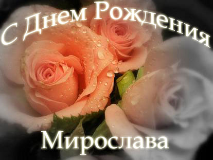 Открытка открытки с именем Мирослава  - Розовые розы с каплями росы: открытка с днем рождения | Красивая открытка #3
