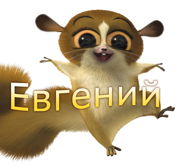 Открытка открытки с именем Евгений - Открытка с изображением сумчатого лемура | Красивая открытка #12