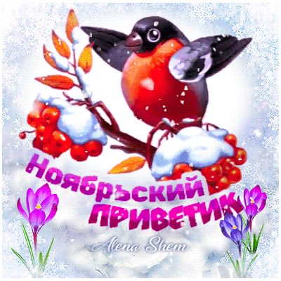 Открытка Ноябрьский - Открытка с птицей на ветке рябины | Красивая открытка #11