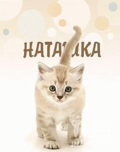 Открытка открытки с именем Наталья  - Открытка с котенком: милый подарок для близких | Красивая открытка #14