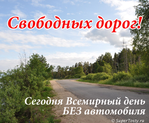 Открытка Открытки на день без автомобиля - Лесная дорога: открытка с природой | Красивая открытка #10