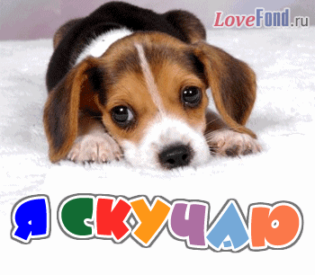 Открытка Скучаю - Милая щенячья открытка: фото с любовью | Красивая открытка #108
