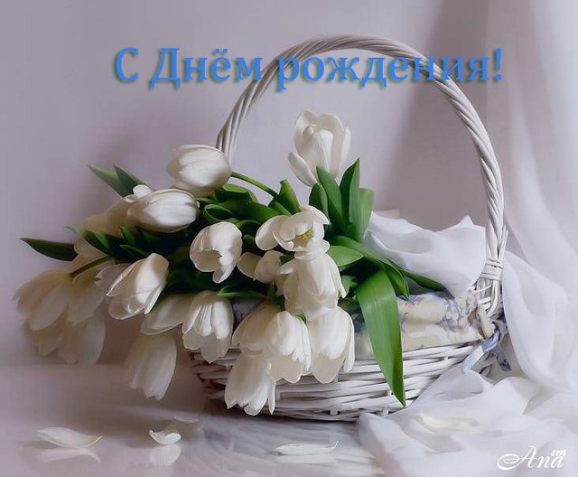 Открытка открытки с тюльпанами на день рождения - Открытка с белыми тюльпанами в плетёной корзине | Красивая открытка #19