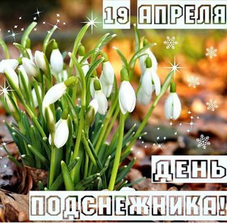 Открытка С днём подснежника - Подснежники: Открытка с первыми цветами весны | Красивая открытка #38