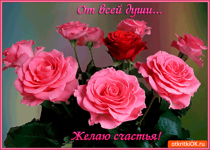 Открытка Желаю счастья - Розовые розы: открытка с цветами  Открытка ОК | Красивая открытка #14