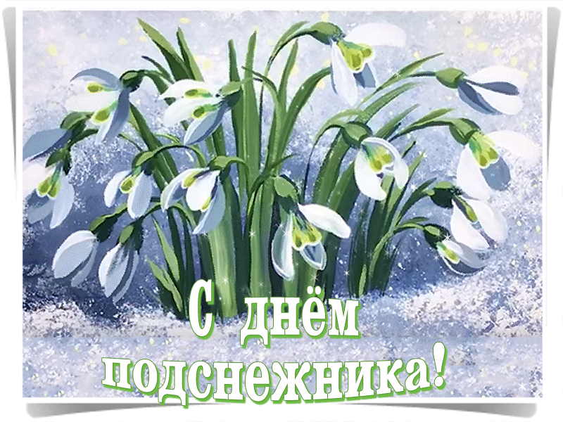 Открытка С днём подснежника - Открытка: С Днём Подснежника!  Зимний пейзаж с цветами | Красивая открытка #74