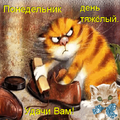 Открытка Открытки на понедельник - Открытка с котами и ботинками | Красивая открытка #12