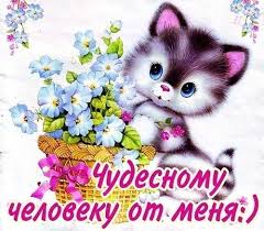 Открытка открытки с пожеланиями удачного дня  - Открытка с котенком и цветами | Красивая открытка #24