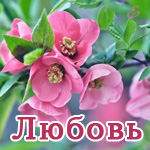 Открытка открытки с именем Любовь - Розовые цветы: открытка с нежностью и весной | Красивая открытка #17