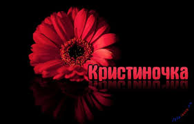 Открытка открытки с именем Кристина  - Яркая красная гербера: открытка с цветами | Красивая открытка #17
