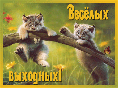Открытка открытки с пожеланиями хорошей субботы  - Два котенка на ветке, открытка с цветами. | Красивая открытка #8