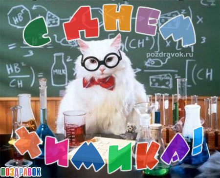 Открытка День химика - Смешная открытка с котом-ученым в очках и колбе | Красивая открытка #23