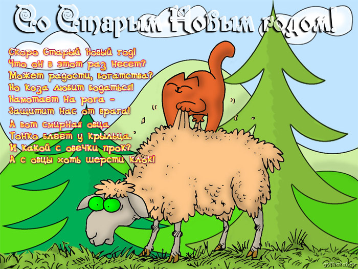 Открытка открытки с приколами на старый новый год - Забавная открытка: Овечка на елке | Красивая открытка #17