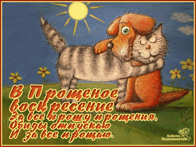 Открытка Открытки на воскресенье - Открытка с котятами на лугу | Красивая открытка #74